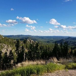 Meet your Posher, Corey